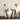 Two women use treadmills: one exercises in sportswear, while the other works on a laptop in casual attire.